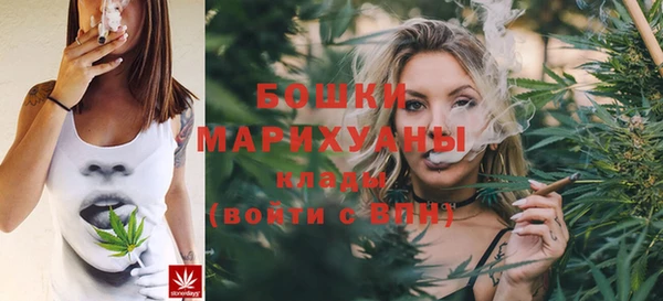 шишки Кукмор
